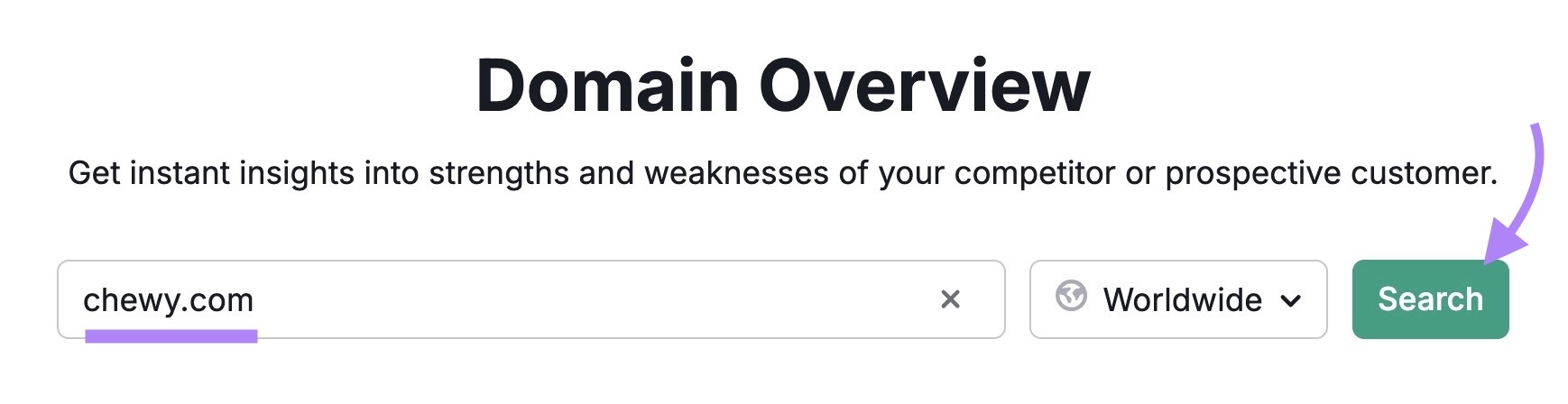 Domain Overview with "chewy.com" entered as the domain and "Search" clicked.
