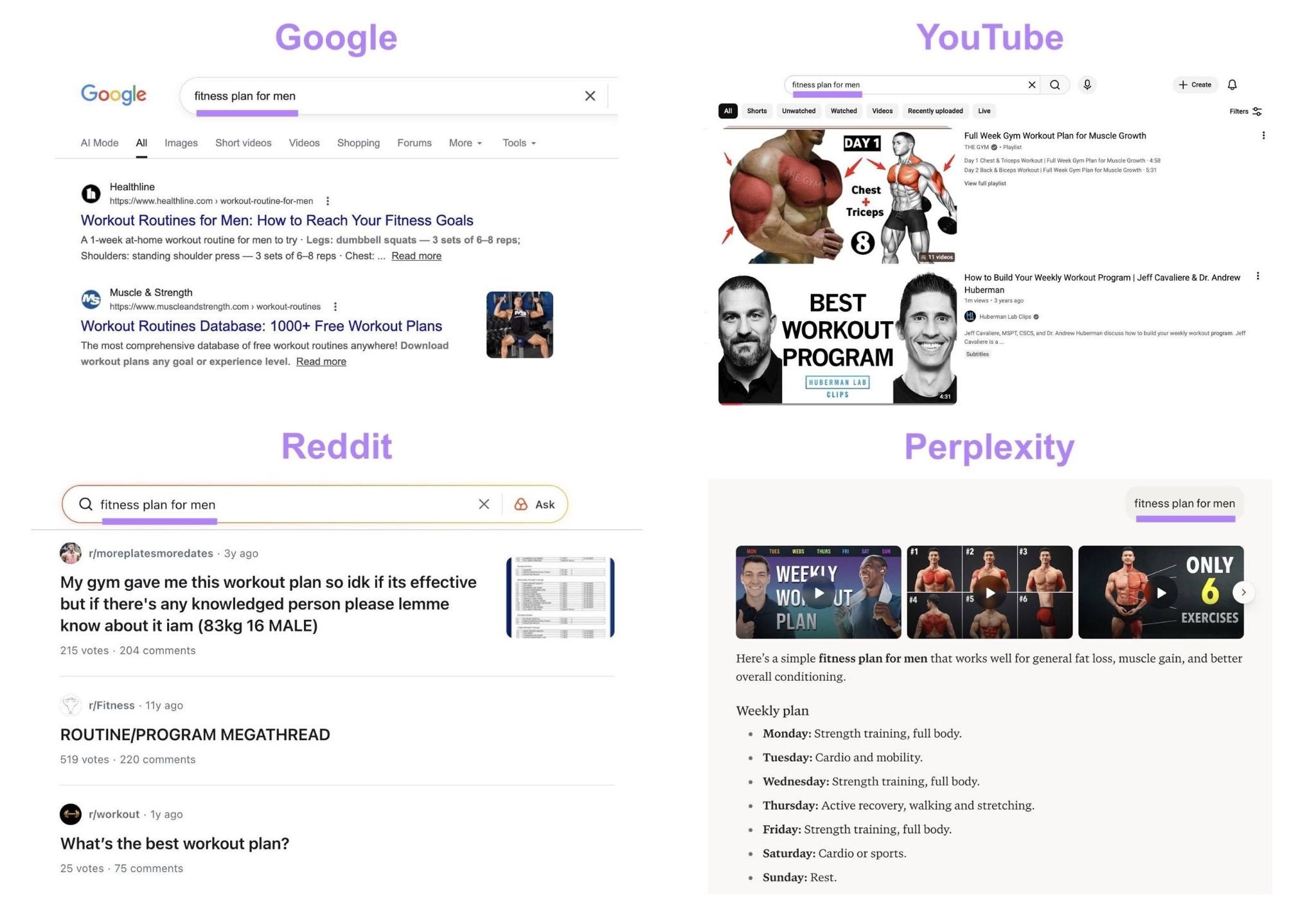 The search results for the term "fitness plan for men" on Google, YouTube, Reddit, and Perplexity.