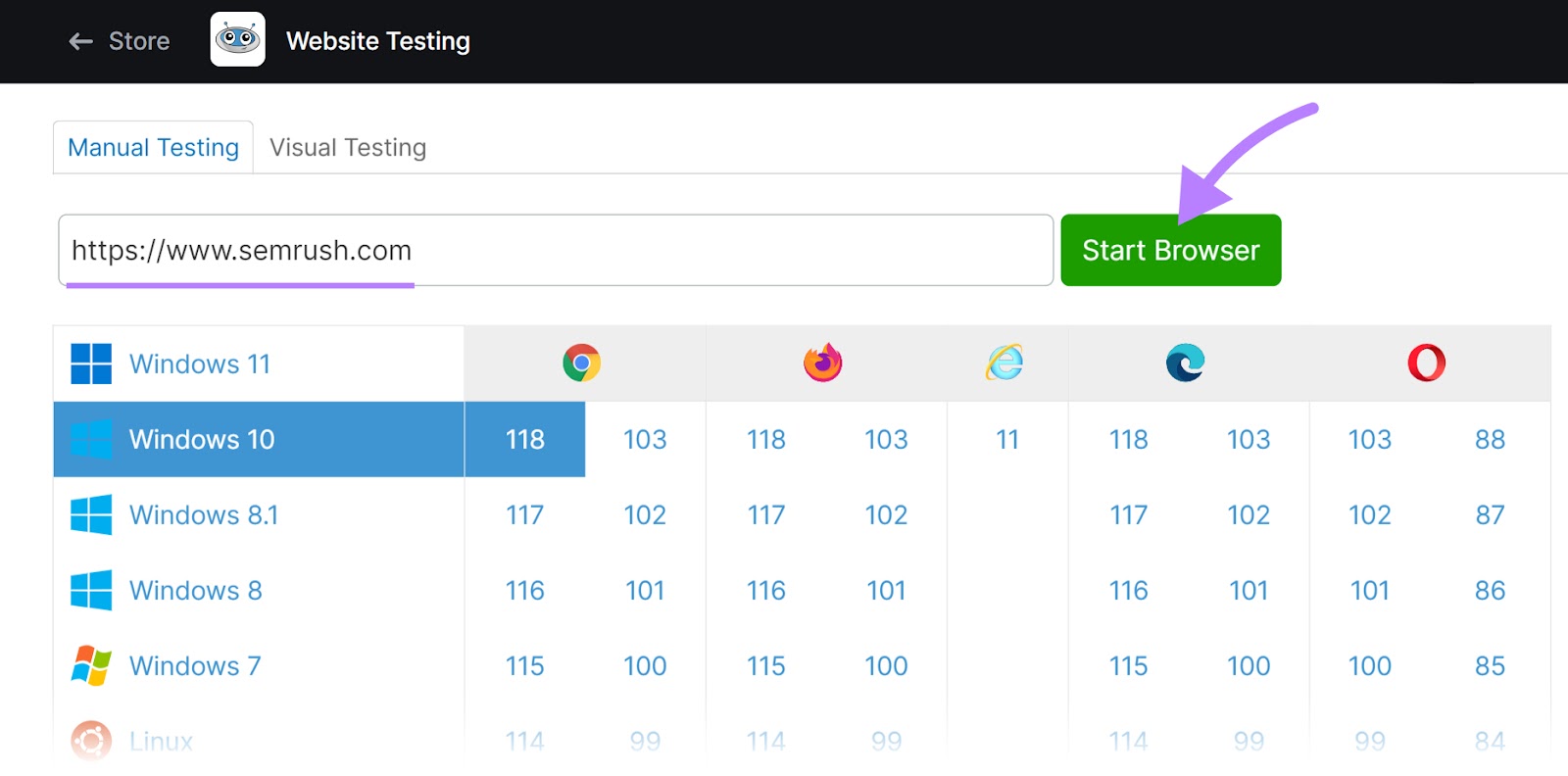 “Manual Testing” tab in Website Testing tool, with "sr02.amztoolslab.com" domain and "Windows 10" selected
